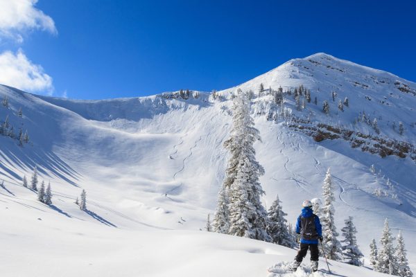 A skier watches two other skiers make tracks down a ski run at Grand Targhee Resort.