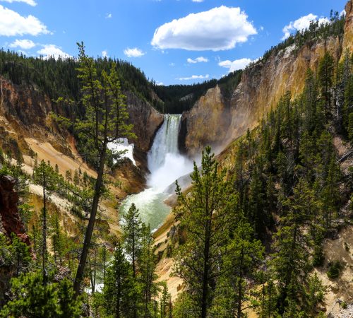 Lower falls of the Yellowstone in summer Lower Falls, the biggest waterfall in Yellowstone, is the most famous in the Park at 308 feet and lies in the Grand Canyon of the Yellowstone